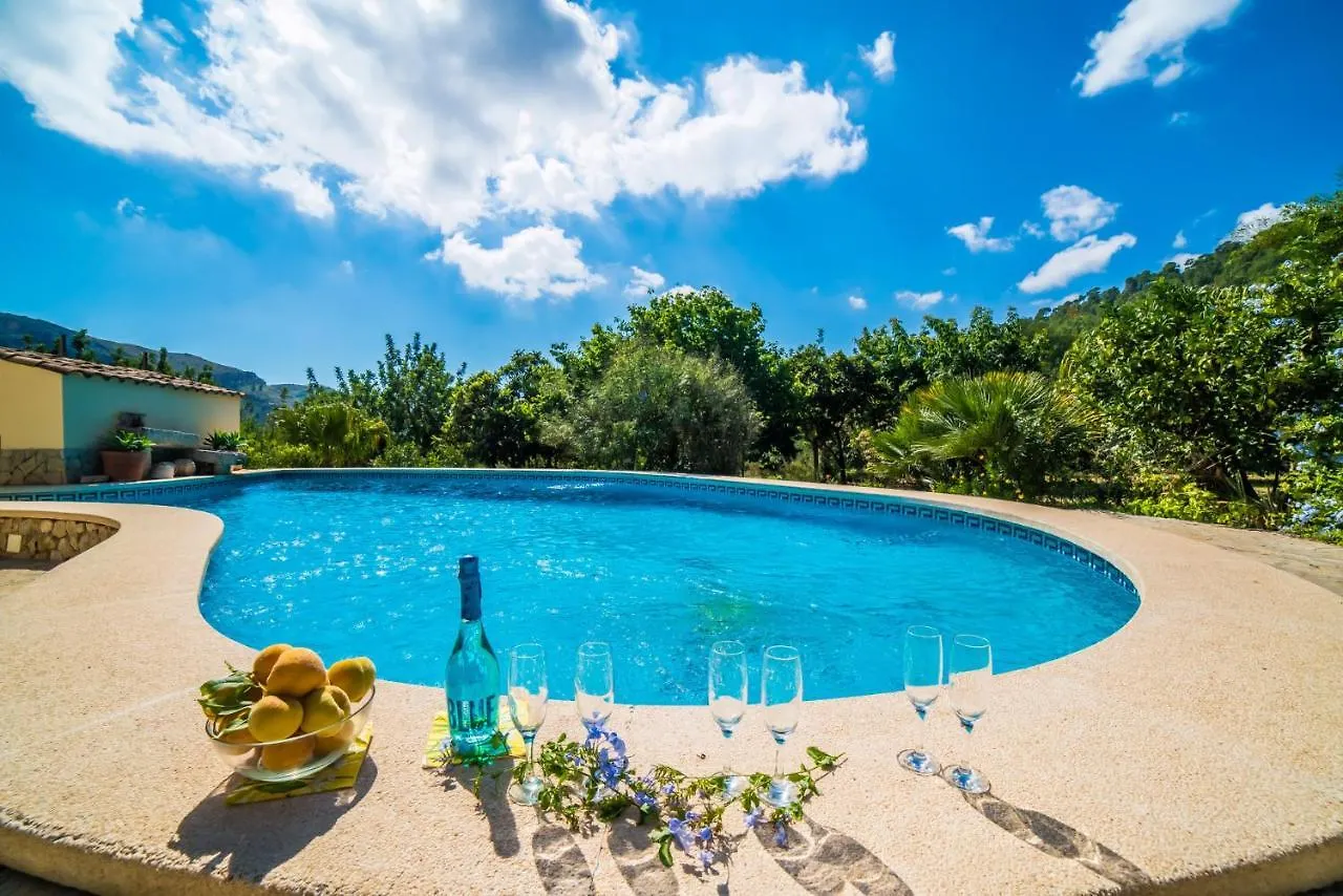 Ideal Property Mallorca - Patufa Alcudia  0*, Alcudia (Mallorca)