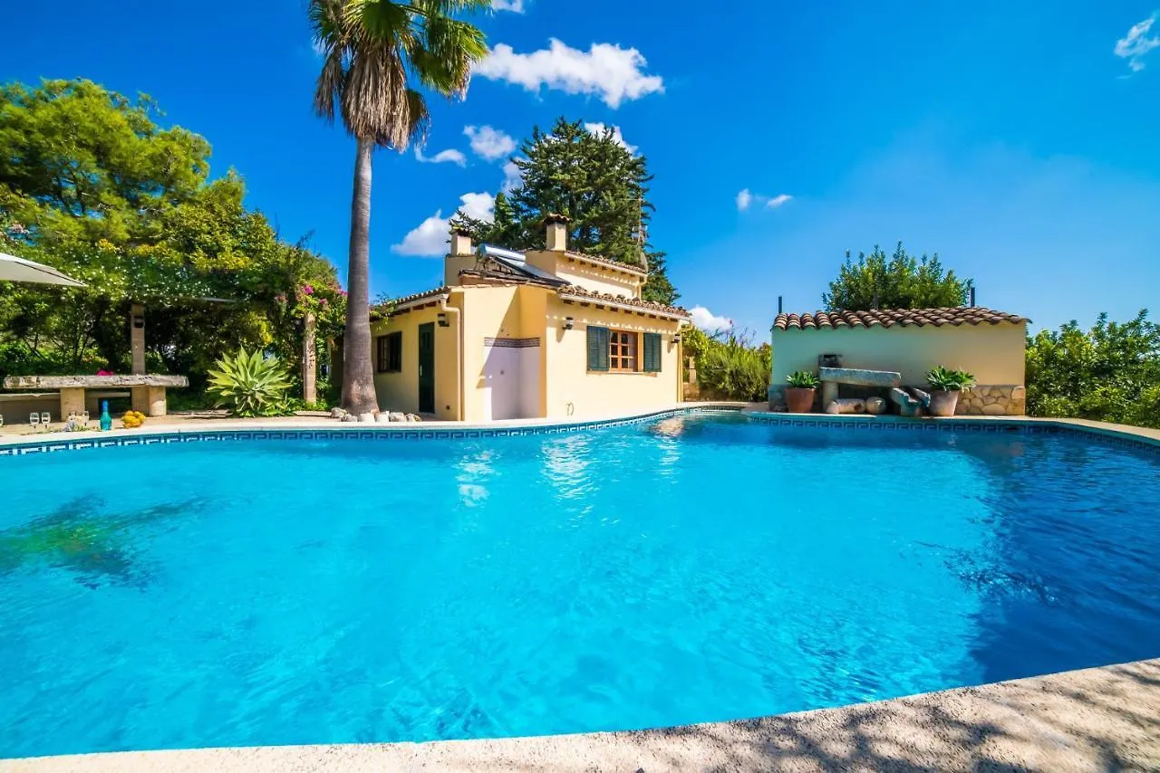 Ideal Property Mallorca - Patufa Alcudia  0*, Alcudia (Mallorca)