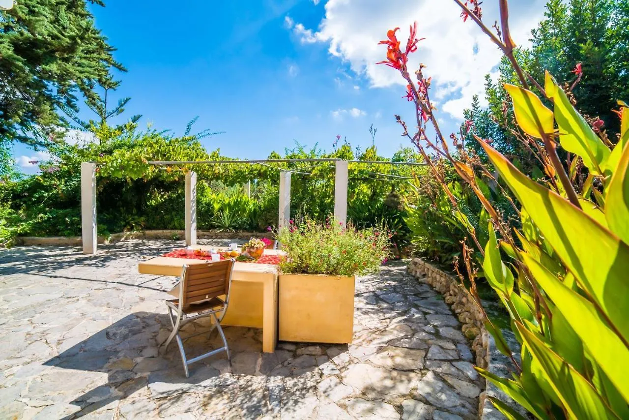 Ideal Property Mallorca - Patufa Alcudia  Spain