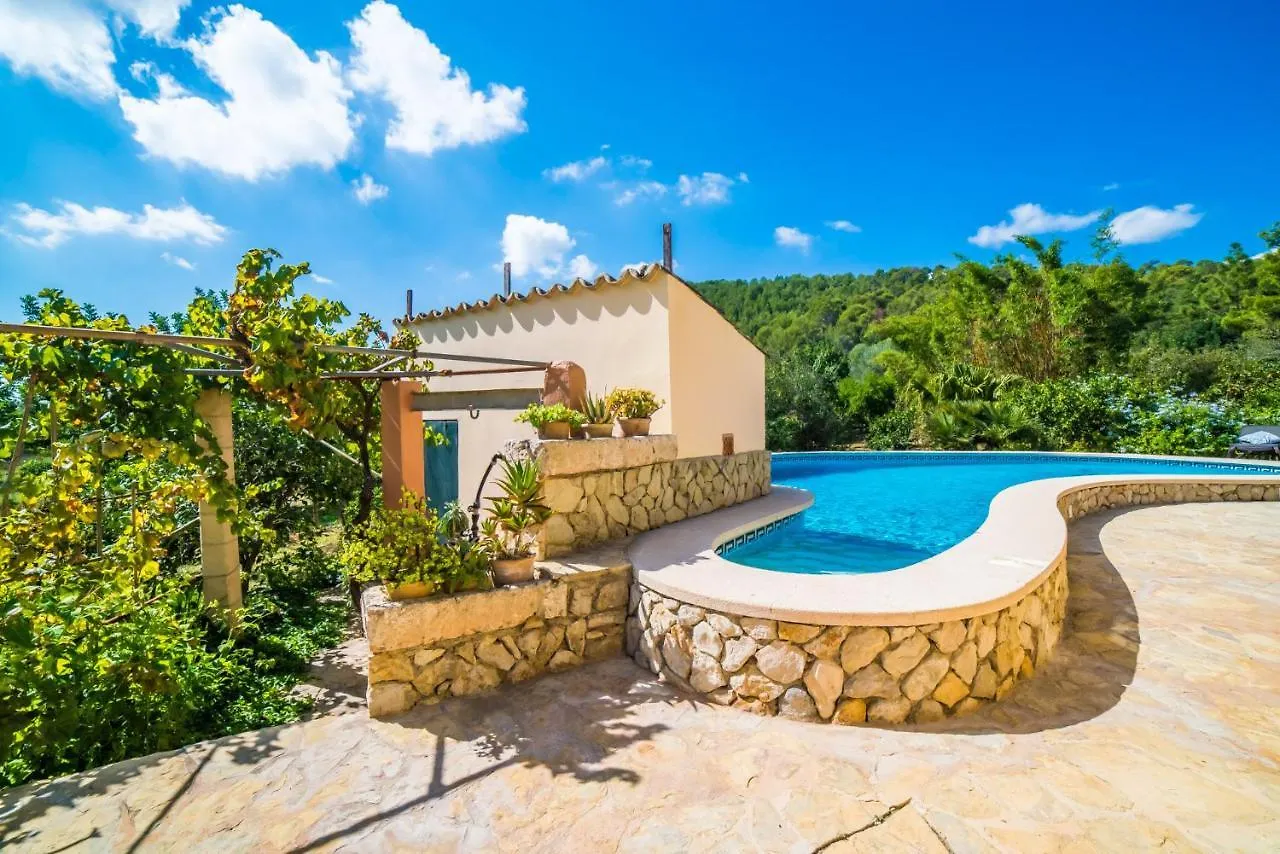 Ideal Property Mallorca - Patufa Alcúdia 0*,  Španělsko
