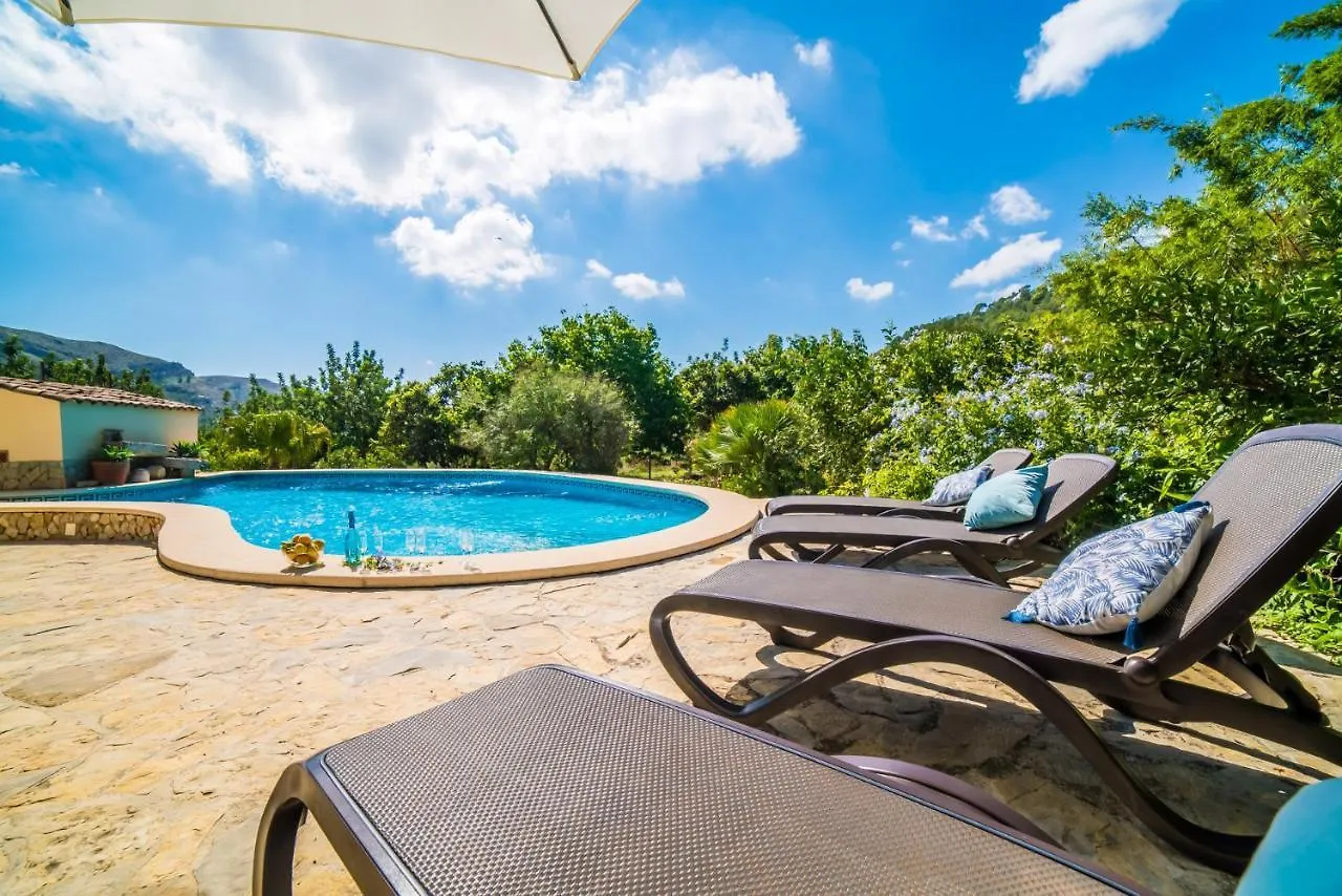 Ideal Property Mallorca - Patufa Alcudia  Country house Alcudia (Mallorca)