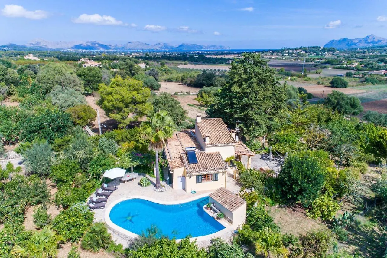 Ideal Property Mallorca - Patufa Alcúdia