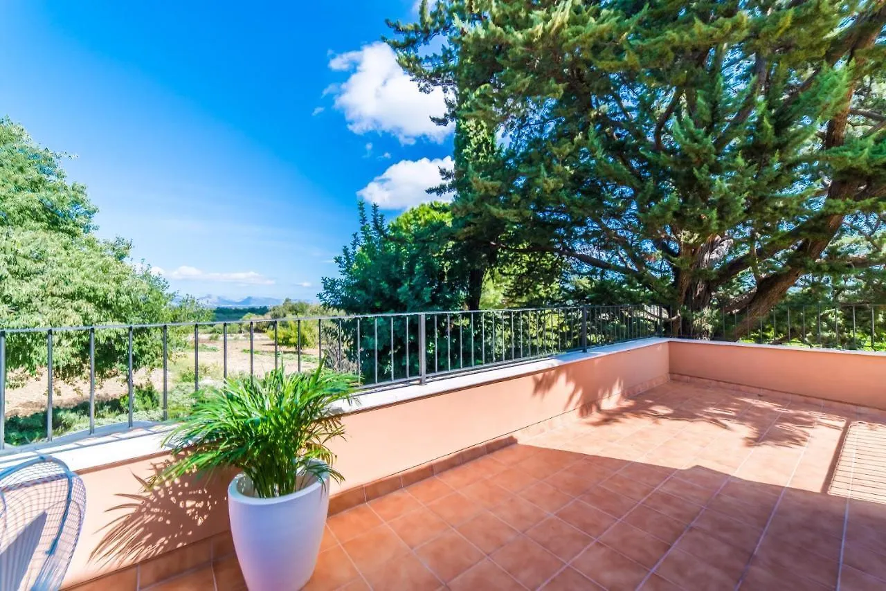 Ideal Property Mallorca - Patufa Alcudia  Alcudia (Mallorca)