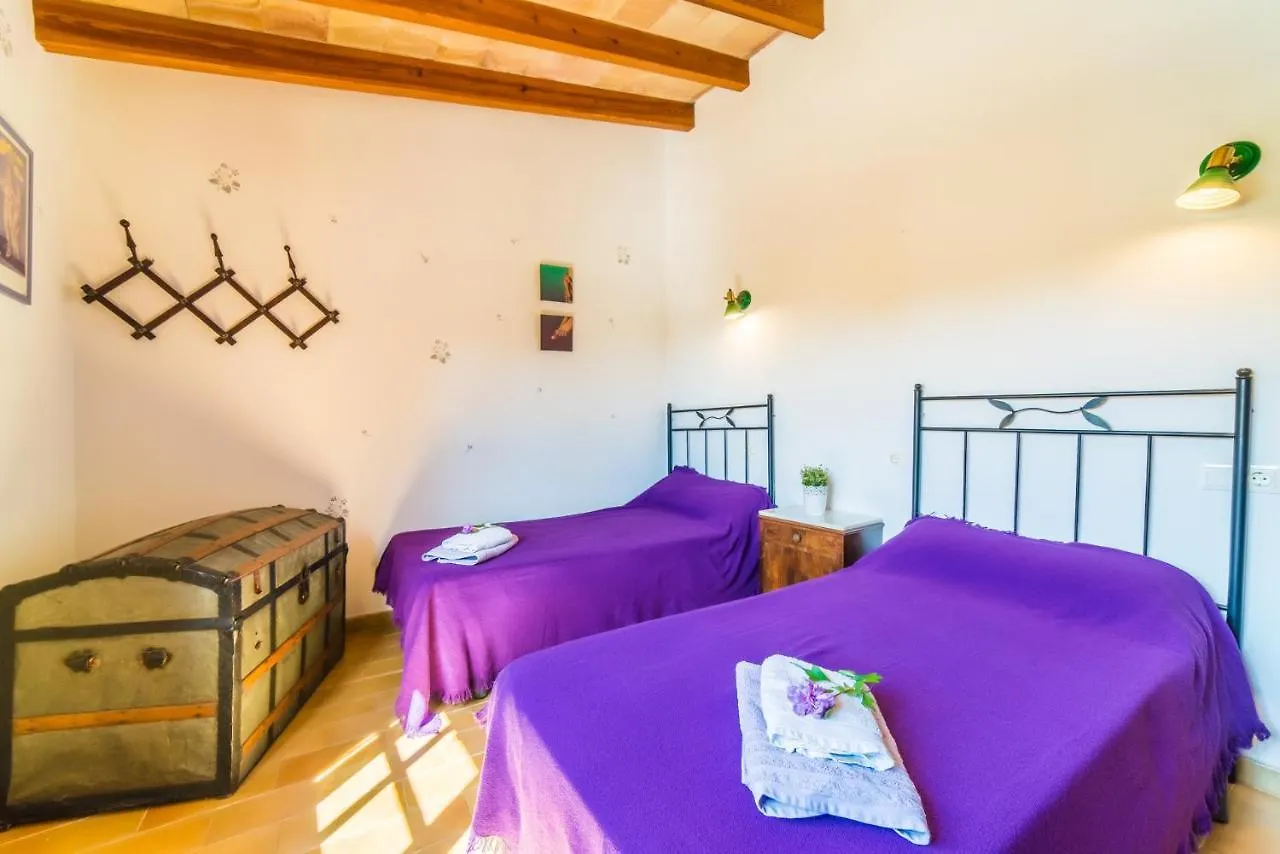 Ideal Property Mallorca - Patufa Alcudia  0*, Alcudia (Mallorca) Spain